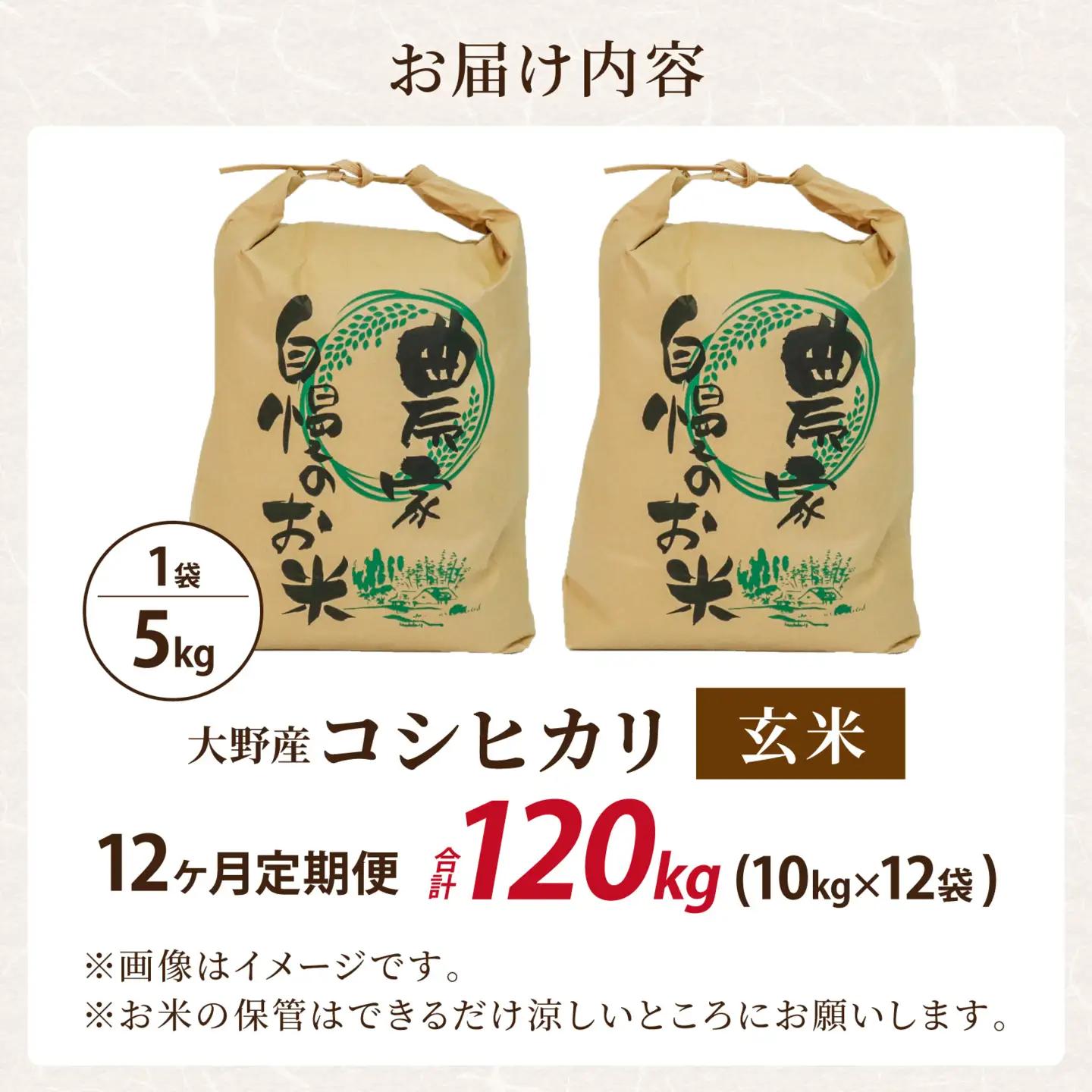 令和8年産 新米 こしひかり 10kg 12回定期便 玄米