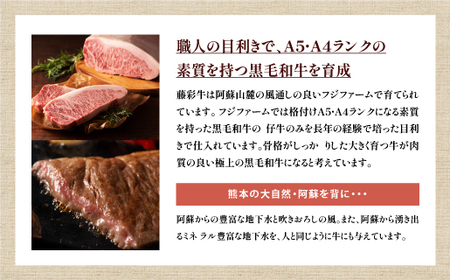 熊本黒毛和牛「藤彩牛」厳選3種の食べ比べセット計600g《30日以内に出荷予定（土日祝除く）》