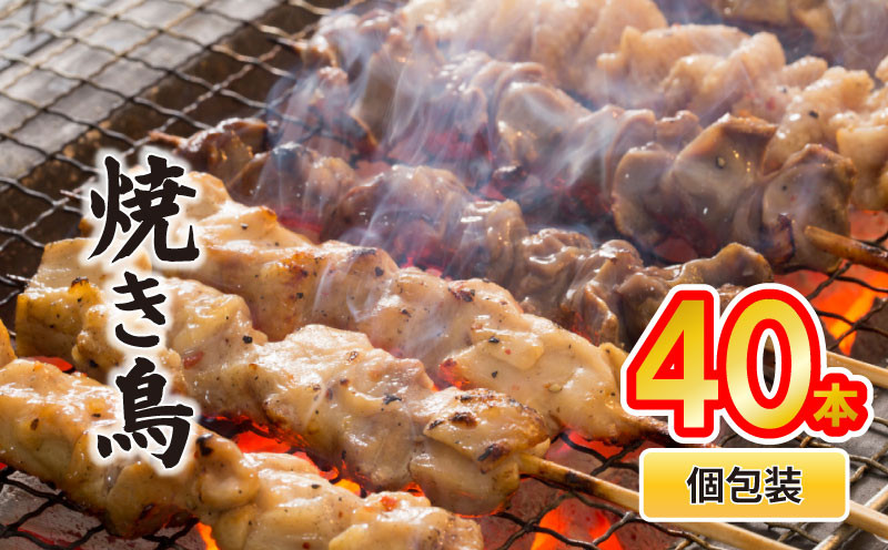 
            配達日指定可 焼き鳥 40本 もも 皮 せせり 砂肝 ぼんじり 5種盛 10本×4袋 小分け やきとり 焼鳥 鶏肉 とりにく とり 鳥 鶏 串 串焼き おつまみ あて ビール BBQ 焼き鳥セット おいしい バーベキュー アウトドア 冷凍 サトウフーズ 新潟県 新発田市 satofoods005
          