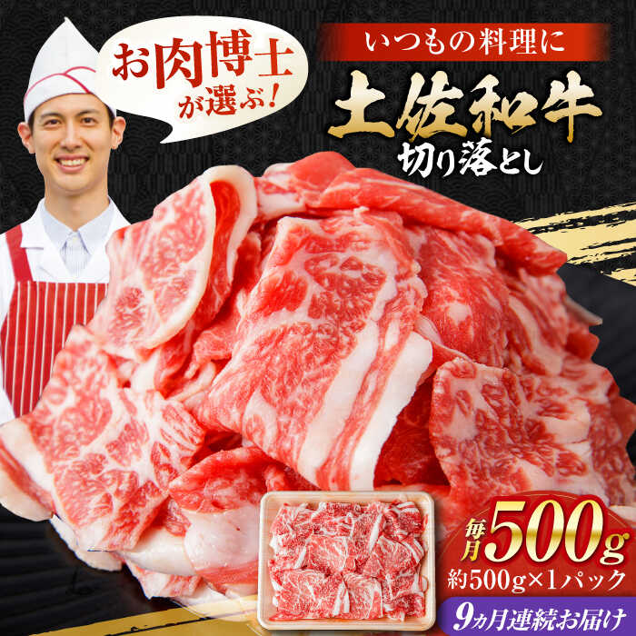 【ふるさと納税】【9回定期便】高知県産 土佐和牛 切り落とし 炒め物 すき焼き用 約500g 総計約4.5kg 牛肉 切落しすきやき 国産 【(有)山重食肉】[ATAP101]