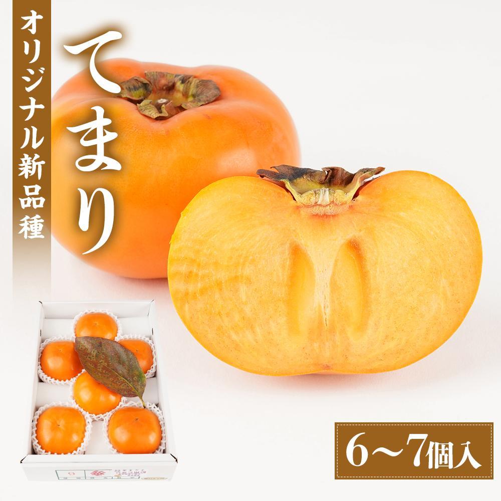 【ふるさと納税】紀州てまり（和歌山県ブランド柿）6～7個入 こだわり農家厳選 先行予約 ［2026年9月末から10月末頃順次発送］［KG27］ | 柿 かき フルーツ 果物 くだもの 食品 人気 おすすめ 送料無料 産地直送