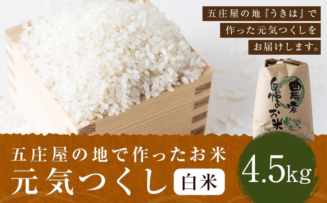 
            【特Aランク米】五庄屋の地で作ったお米 元気つくし 白米 (4.5kg)【2025年10月上旬より順次発送予定】こめ コメ ごはん ご飯 福岡県うきは市産 九州産
          