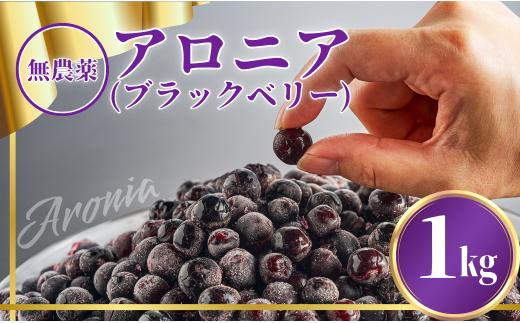 アロニア（ブラックベリー）1kg ベリー 冷凍便 果物 果実 | 石川県 小松市 | 【JA小松市】