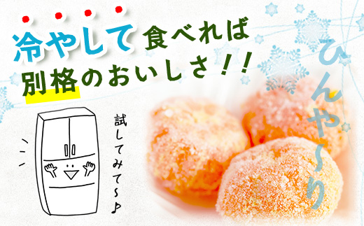 C-2【先行予約】 グリーンハウスみかん　5ｋｇ【2025年7月中旬～8月末まで発送予定】みかん 蜜柑 ミカン ハウスみかん フルーツ 果物 くだもの 果実 冷蔵 フレッシュ 美味しい 人気 ビタミン