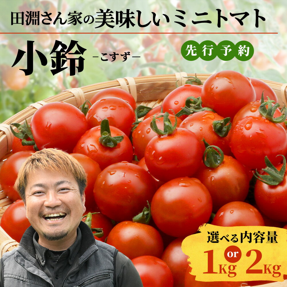 【ふるさと納税】【先行予約】田淵さんちの美味しい ミニトマト 小鈴（1kg or 2kg）｜鹿児島県 南大隅 産地直送 旬 とまと ミニトマト 野菜 やさい 送料無料 ≪2025年11月より順次発送≫