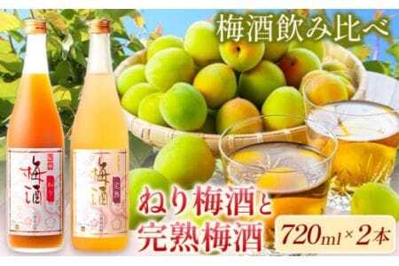 梅酒 紀州完熟南高梅 濃厚 ねり梅酒と芳醇 完熟梅酒 720ml×各1本 酒のねごろっく《30日以内に出荷予定(土日祝除く)》梅酒梅酒