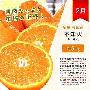 【発送月固定定期便】紀州和歌山産旬の柑橘セット(みかん・不知火・清見)全3回【4011934】