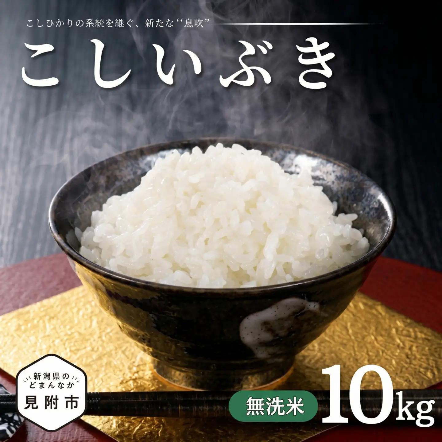 米【令和7年産】こしいぶき 無洗米10kg