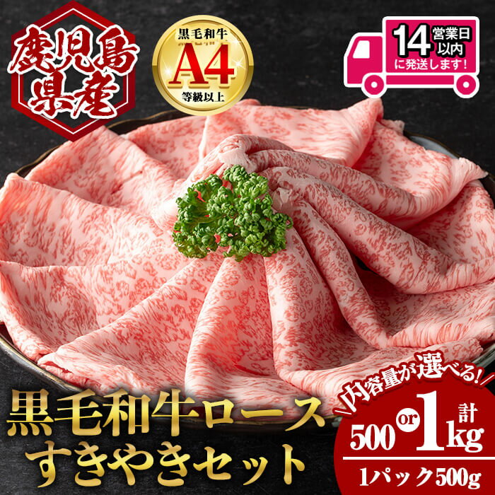 【ふるさと納税】＜14営業日以内発送！＞＜選べる内容量！＞鹿児島県産黒毛和牛ロース すき焼き用セット (計500g～1kg・500g×1～2) 国産 鹿児島 鹿児島県産 黒毛和牛 牛肉 牛 A4等級以上 A4 ロース ローススライス すきやき すき焼き スライス お肉 冷凍【肉のちょーさん】