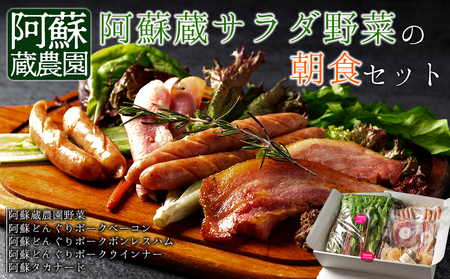 阿蘇を感じる阿蘇蔵サラダ野菜の朝食セット 新鮮野菜　阿蘇の味　健康的な食生活 詰め合わせ　野菜宅配 産地直送 採れたて 人気 美味しい 熊本 阿蘇