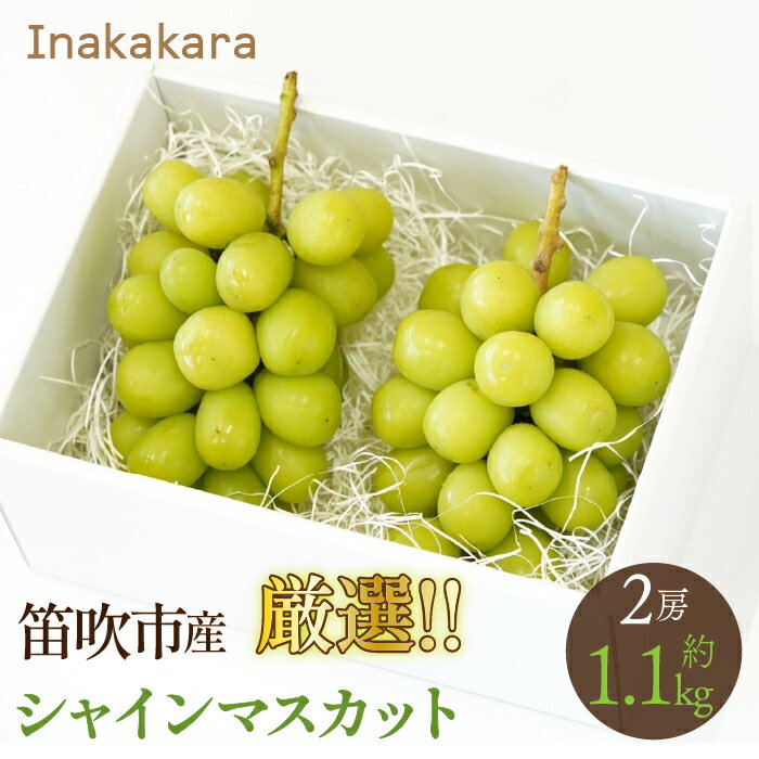 【ふるさと納税】 【2026年発送★先行予約】 Inakakara厳選！笛吹市産シャインマスカット2房（約1.0~1.1kg） ふるさと納税 おすすめ ランキング シャインマスカット 笛吹市 国産 人気 期間限定 ぶどう ブドウ 葡萄 旬 果物 フルーツ 山梨県 送料無料 192-015
