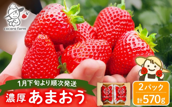 
            先行予約【2026年1月下旬～4月中旬発送】ココロファームの 濃厚あまおう 285g × 2P 約570g 《豊前市》 苺 いちご あまおう 福岡県産 【※北海度・沖縄および離島への配送不可】 [VAE007]
          