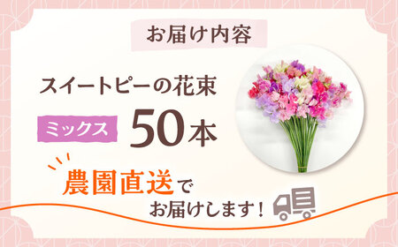 【先行予約】【生産農家直送！】スイートピー 花束 50本（ミックス）【木下農園】[IBW001]