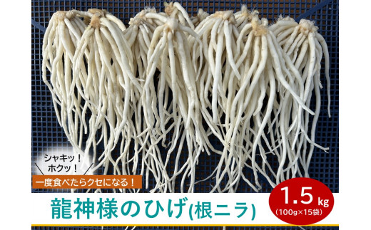 【 先行予約 】龍神様のひげ  ( 根ニラ )  1,500g (100g×15袋) ／ 株式会社 すわファーム 野菜 香味野菜 根菜 無農薬 高原野菜【91-02】