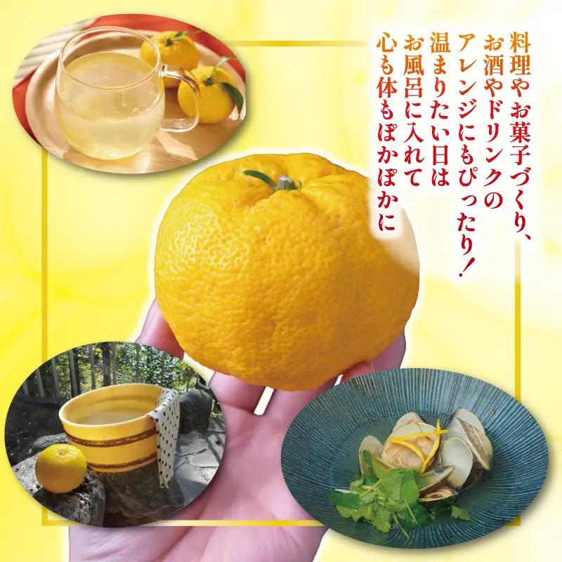 【先行予約】 安田町産 ゆず玉 料理にお酒にお風呂にどうぞ 期間限定