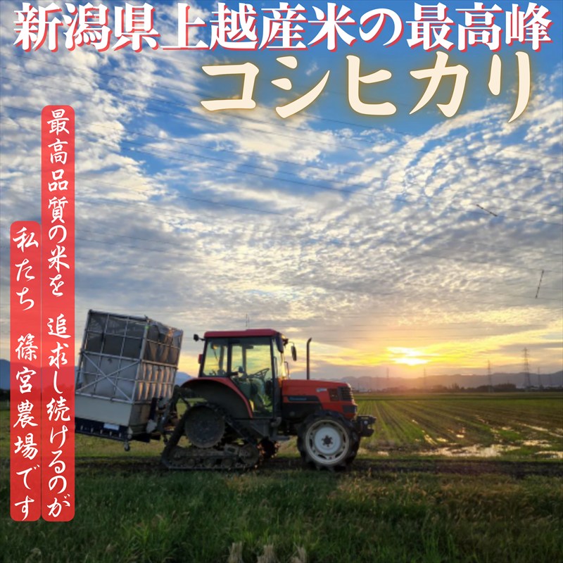 【令和8年10月下旬配送】令和8年産 新米 先行予約 新潟県産 コシヒカリ 10kg 最高品質のお米を追求し続ける 篠宮農場 上越市 精米