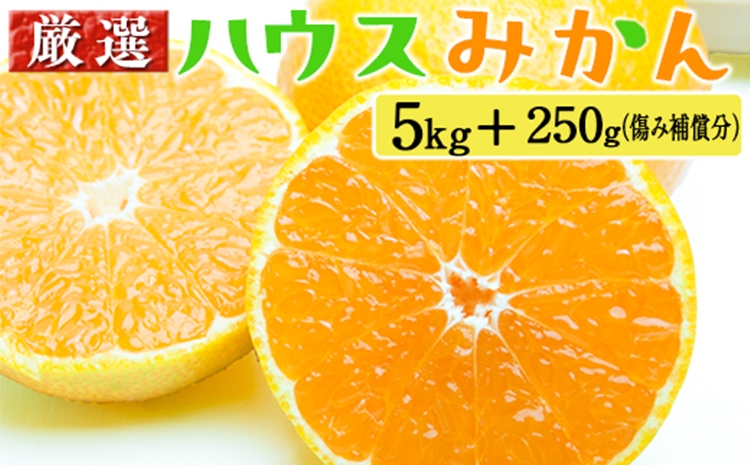 厳選 ハウスみかん5kg+250g（傷み補償分）