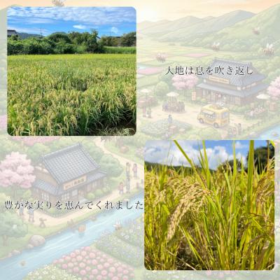 ふるさと納税 山口市 ミツバチと地球の未来を守るお米【八米】玄米5キログラム C126 |  | 03