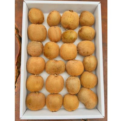 ふるさと納税 掛川市 農園直送!訳アリキウイフルーツ2kg〜2.4kg(24個〜30個)