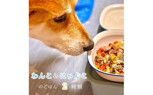 
自然食材 ペットフード ワンコ と ニャンコ の ご飯 2種類 4袋 犬 猫 ドッグフード キャットフード 安心安全
