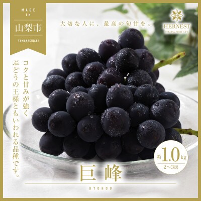 【2026年発送先行受付】山梨県山梨市産　旬の採れたて巨峰　約1kg　2～3房【配送不可地域：離島】