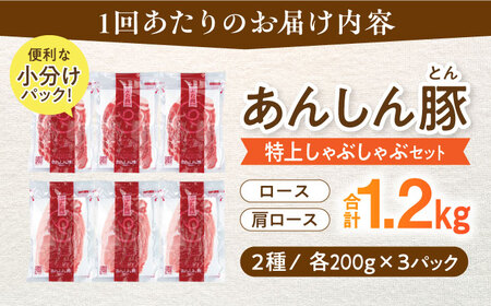 【12回定期便】あんしん豚 特上しゃぶしゃぶセット 豚肉 ロース 国産 白川町 / 藤井ファーム[AWAF012]