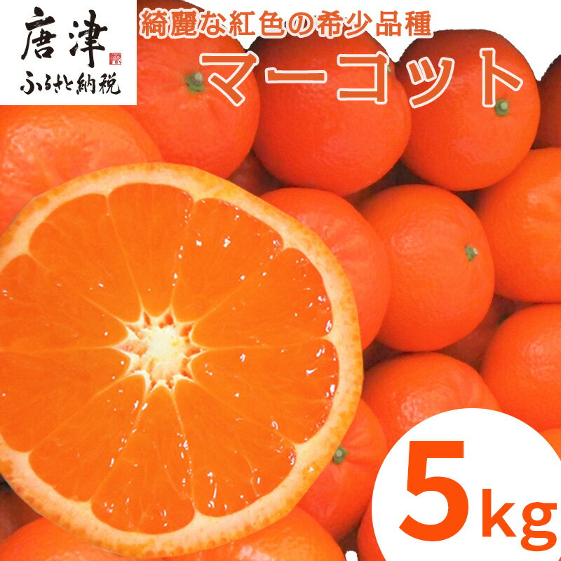 【ふるさと納税】『先行予約』【令和8年2月中旬発送】マーコット（ハウス栽培）唐津産 5kg みかん ミカン 果物 フルーツ