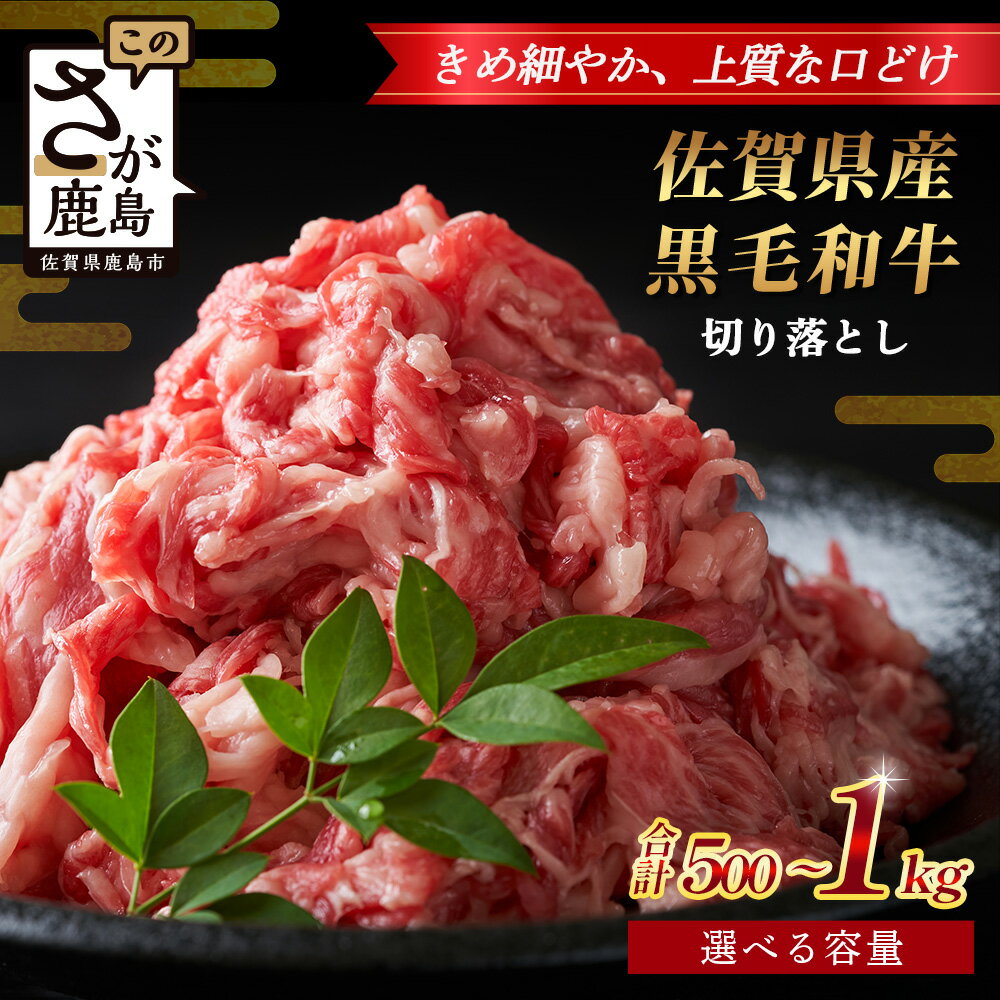 【ふるさと納税】内容量・配送月を選べる 佐賀県産 黒毛和牛 切り落とし 500g or 500g×2（合計1kg） B-862 牛肉 お肉 すき焼き すきやき しゃぶしゃぶ 年内発送 年末配送 切り落し 切落し 切りおとし 炒め物 焼き肉 焼肉 BBQ