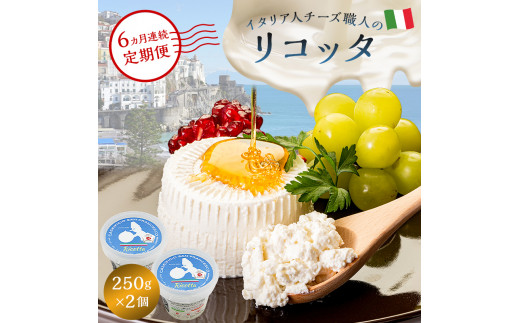 【定期便】リコッタ Ricotta 250g 2個セット(6カ月連続お届け)【岐阜県 可児市 しぼりたて 高品質 生乳 フレッシュ 柔らかい クリーム 食感 ミルク 風味 甘み チーズ】