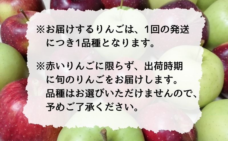 【1月～3月発送 りんご定期便】糖度13度以上 贈答用 りんご 約 5kg × 3回 贈答用コース【弘前市産 青森りんご】