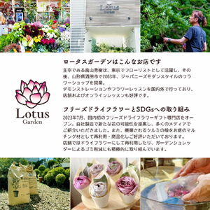SL0265　カビンに飾る緑と枝物と花 「LIVING FLOWER」