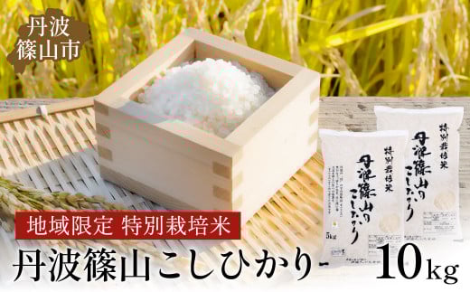 ※令和6年 新米予約※丹波たぶち農場の特別栽培米こしひかり10kg