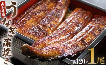 【7日程度で発送】うなぎ屋きた本 うなぎ蒲焼き120g 1尾(無頭) うなぎ 鰻 ウナギ うなぎ 鰻 ウナギ うなぎ 鰻 ウナギ うなぎ 鰻 ウナギ うなぎ 鰻 ウナギ うなぎ 鰻 ウナギ うなぎ うなぎ うなぎ うなぎ うなぎ うなぎ スピード un-0013