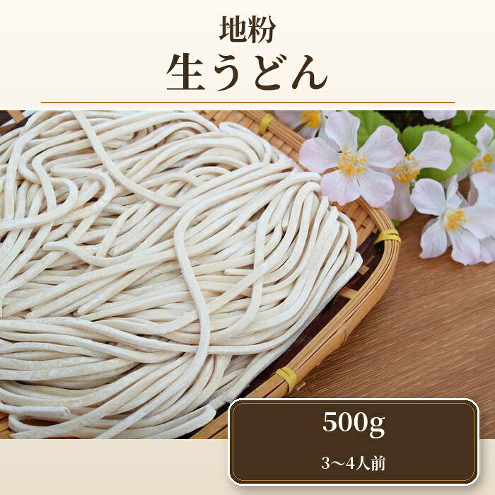 【ふるさと納税】 地粉生うどん500g（3～4人前） ／ 中太麺 麺類 もっちり 送料無料 埼玉県 No.407