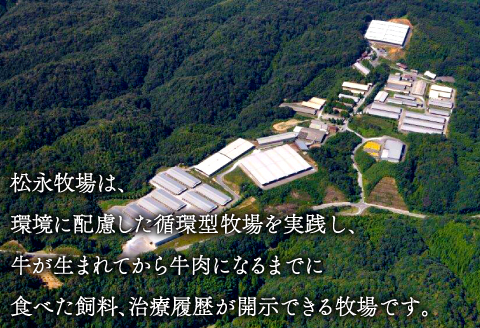 D-293 松永和牛A5ランク　すき焼き　800g