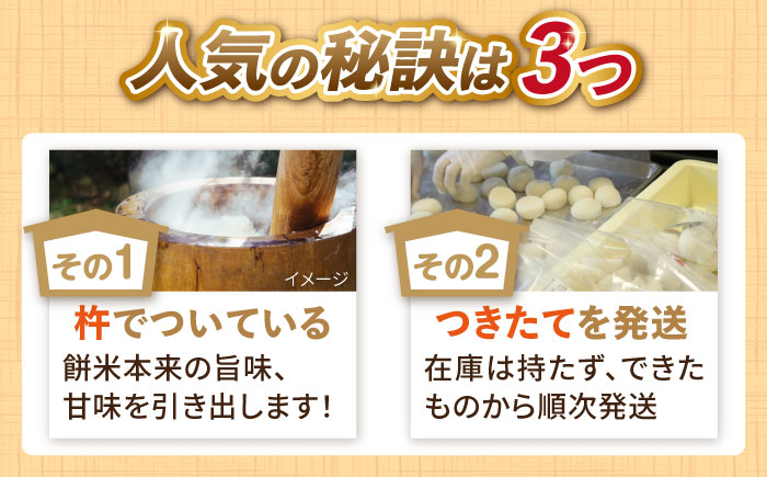 【順次発送】築上町産 本格 杵つき 生もち 「 かき餅 」 4種類 12袋《築上町》【アルク農業サービス合同会社】 餅 お餅 もち [ABAB003]