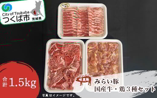 村下商事のおすすめバラエティパック1.5kg(牛・豚・鶏)＜離島・沖縄配送不可＞【 茨城県 つくば市 BBQ 牛肉 豚肉 鶏肉 バラエティ 焼肉 焼き肉 バーベキュー ロース バラ 切り落とし 小分け