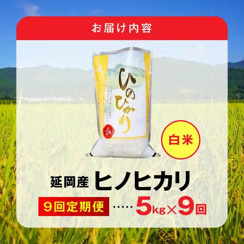 延岡産ヒノヒカリ（白米）5kg 9ヶ月定期便 N0218-YG0264