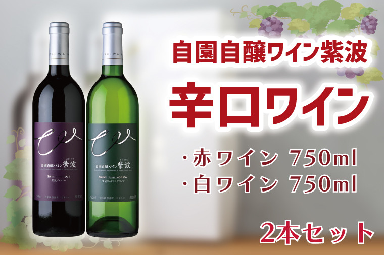 
            自園自醸ワイン紫波　辛口ワイン2本セット (AL045-1)
          