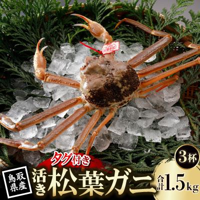 ふるさと納税 智頭町 【先行予約】鳥取県産 タグ付き 活 松葉がに 500g×3杯(中村商店)2027年1月末より順次発送
