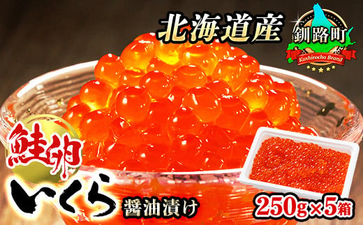 
            いくら醤油漬け 1.25kg（250g ×5箱） 小分け 配送日時指定可 ｜国産 いくら いくら醤油漬 イクラ ikura 天然 鮭 サーモン 鮭卵 鮭いくら 冷凍 笹谷商店 直営 釧之助本店 配送時期が選べる 配送 指定 配送日 選べる スピード発送  北海道 釧路町 釧路超 特産品
          