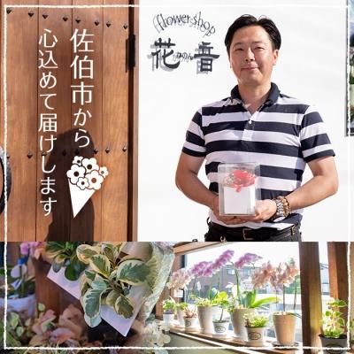 ふるさと納税 佐伯市 ハーバリウム (高さ21.5cm×横幅約4cm・四角瓶) |  | 03