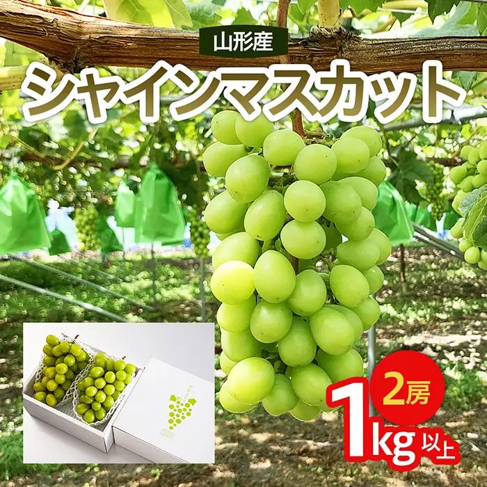  山形市産 シャインマスカット 秀 1kg以上(2房)[前半]【令和8年産先行予約】FU22-083 くだもの 果物 フルーツ 山形 山形県 山形市 2026年産