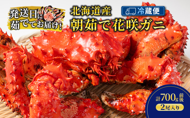 ［冷蔵便］茹でたて直送！北海道産 朝茹で 花咲ガニ 約700g×2尾【 かに カニ 蟹 花咲ガニ 花咲蟹 海鮮 魚介 海の幸 海産物 家庭用 冷蔵 北海道 十勝 幕別 】