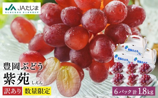 【2026年先行予約】数量限定 訳あり 豊岡ぶどう「紫苑」 約300g×6パック