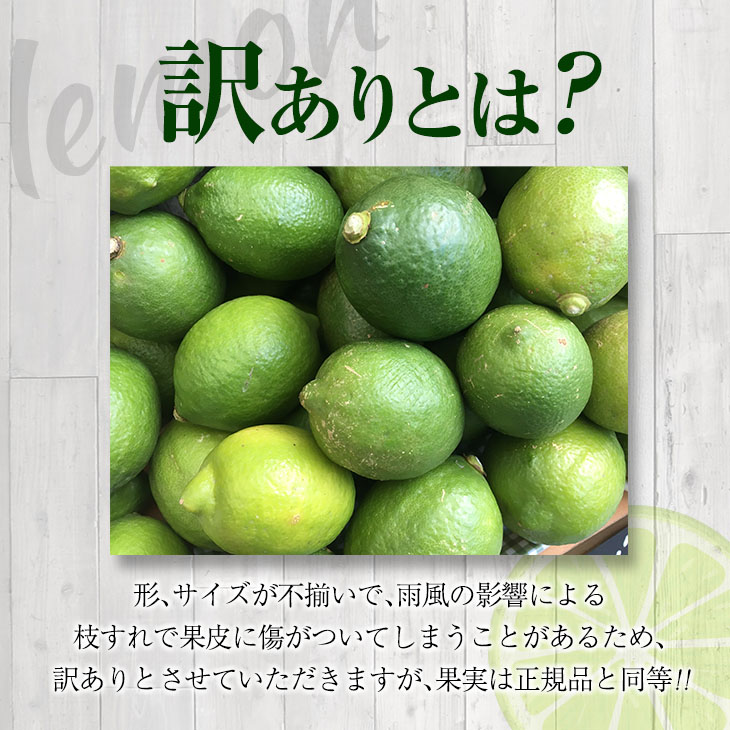 ≪内容量が選べる≫訳あり 数量限定 グリーンレモン りのか 5kg 10kg 期間限定 フルーツ 果物 くだもの 柑橘 レモン 檸檬 レモンティ レモネード 国産 食品 デザート_S-A88-23_イ