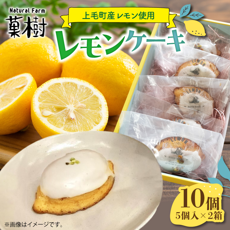 【ナチュラルファーム菓樹】レモンケーキ 10個（5個入×2箱）〜上毛町産レモン使用〜  NK1106