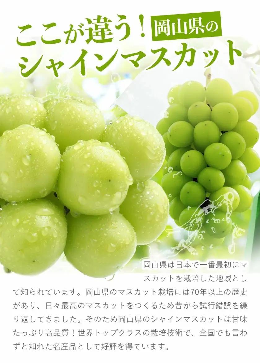 【全2回】晴れの国定期便 桃1kg マスカット1.3kg 定期便