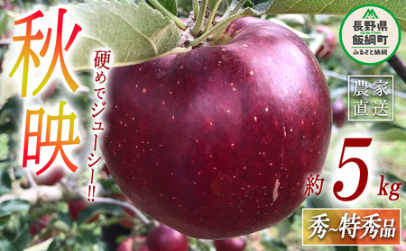 りんご 秋映 秀 〜 特秀 5kg 丸西農園 沖縄県への配送不可 2026年10月上旬頃から2026年10月中旬頃まで順次発送予定 令和8年度収穫分 特別栽培農産物 ( 除草剤 化学肥料 不使用 ) 信州 果物 フルーツ リンゴ 林檎 長野 予約 農家直送 長野県 飯綱町 [0506]