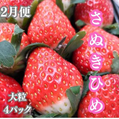 ふるさと納税 坂出市 【発送月固定定期便】坂出の美味しい果物定期便　季節の果物を年間4回に分けてお届け!全4回 |  | 01